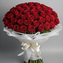 101 Красная роза Блэк Мэджик в Новые Дома Букет 101 Красная роза Блэк Мэджик в Новые Дома