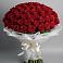 101 Красная роза Блэк Мэджик в Новые Дома Букет 101 Красная роза Блэк Мэджик в Новые Дома