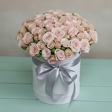 Композиция утонченная красота в Новые Дома Цветочная композиция из Розы в шляпной коробке в Новые Дома