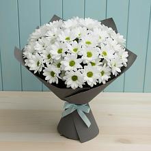 Букет цветов из:  Хризантемы в Новые Дома