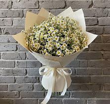 Букет Кустики радости #REPLACE_PRED# Новые Дома Букет цветов из:  Ромашки #REPLACE_PRED# Новые Дома