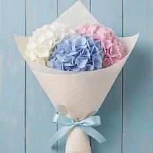 Букет Нежная гортензия в Новые Дома Букет цветов из:  Гортензия в Новые Дома