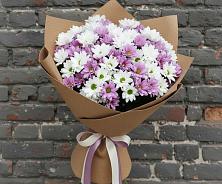 Букет грани совершенства в Новые Дома Букет цветов из:  Хризантемы в Новые Дома