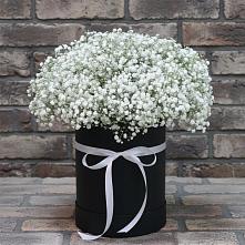 Композиция коробка гипсофил в Новые Дома Цветочная композиция из Гипсофила в шляпной коробке в Новые Дома
